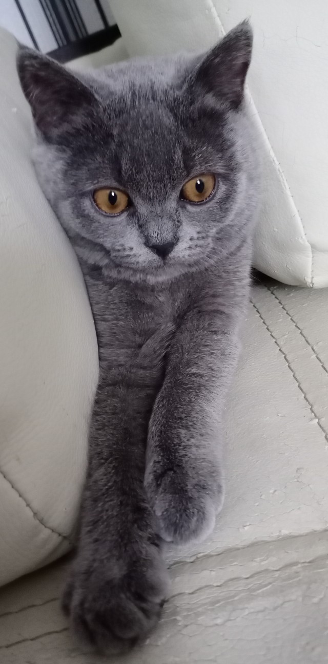 Ну, поехали в котоввторник!