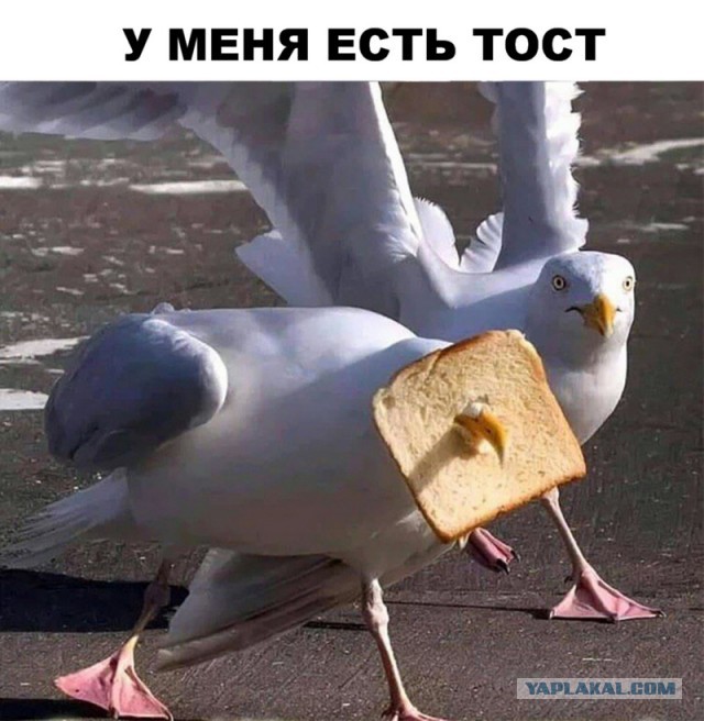 Просто картинки 20шт