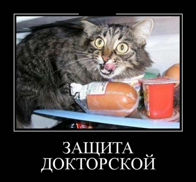 50 оттенков серого.  Vol.14 Или самосвал баянов