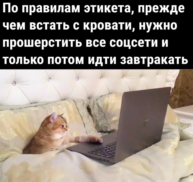 Так себе картинки 20.06.22