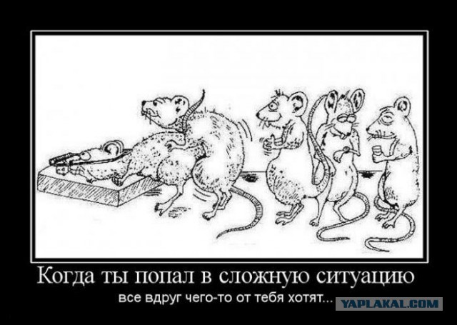 За считанные минуты после отказа от выплаты дивидендов капитализация "Газпрома" обвалилась почти на треть.
