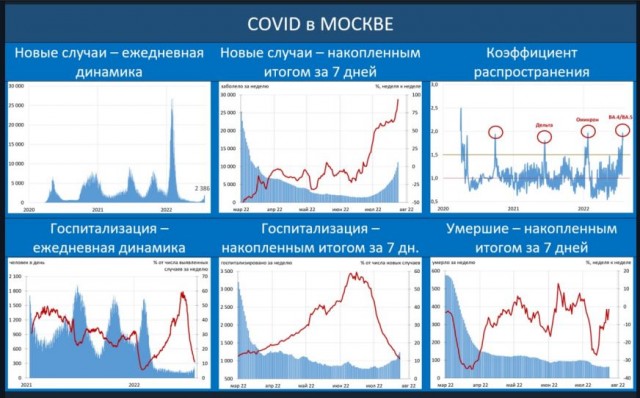 Пандемия съехавших крыш - разновидности болезни. Россия и мир. Часть 38