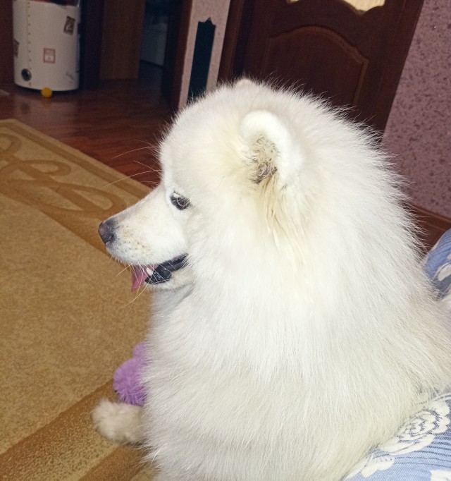 Нам уже 3 месяца