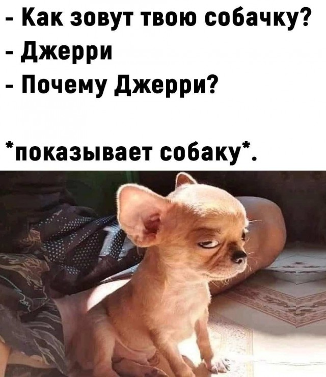 Он существует