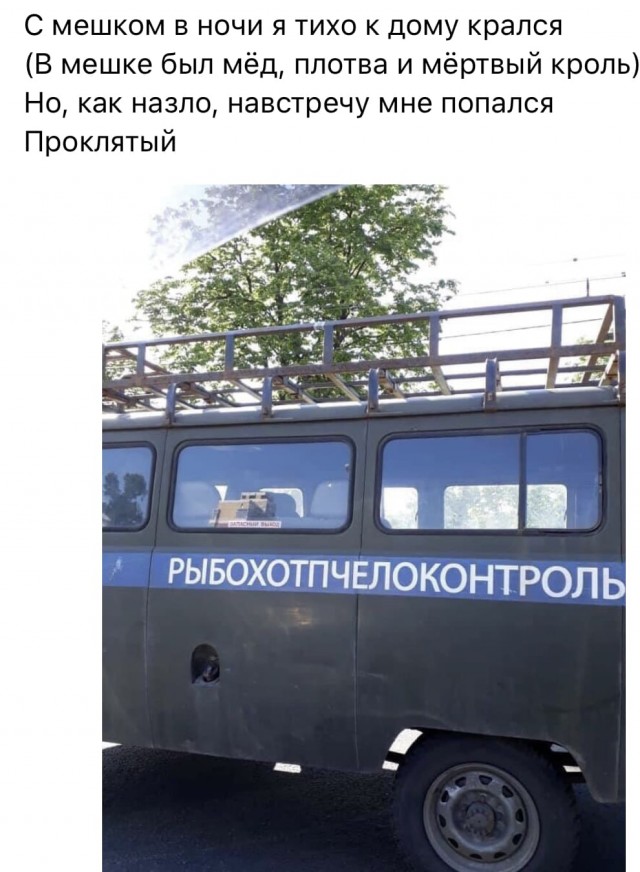 Пчеловасик - мёдосеря