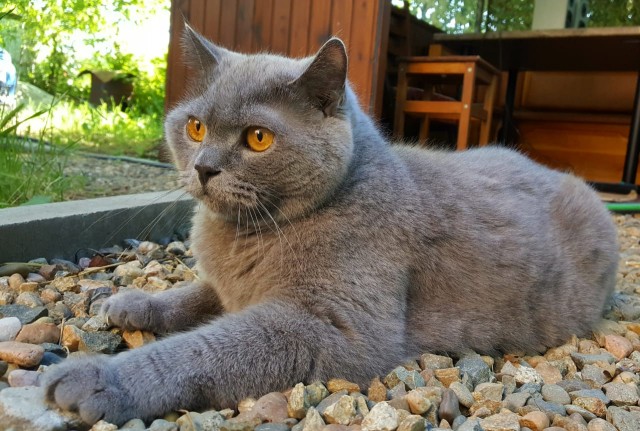 Совпало же? В котовторник