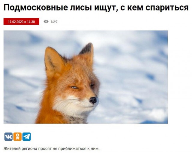 Немного картинок для настроения - 139