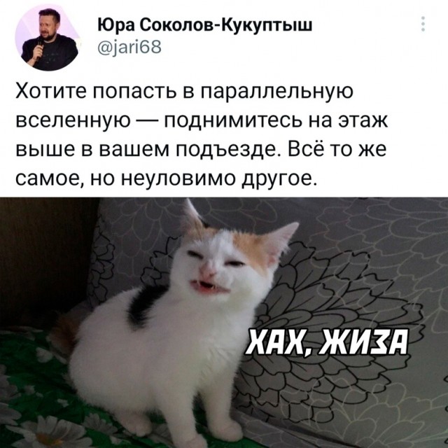 Немного картинок для настроения - 165