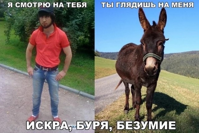 Нуштош 27.08.23