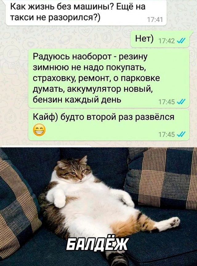Нужны ли мужчины в современном мире?