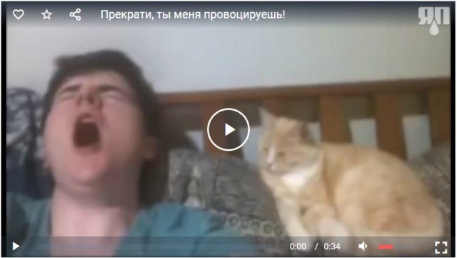 Прекрати, ты меня провоцируешь!