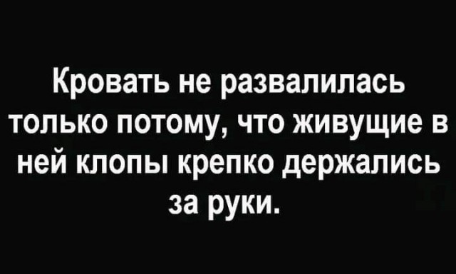 Пятничные улыбательные картинки
