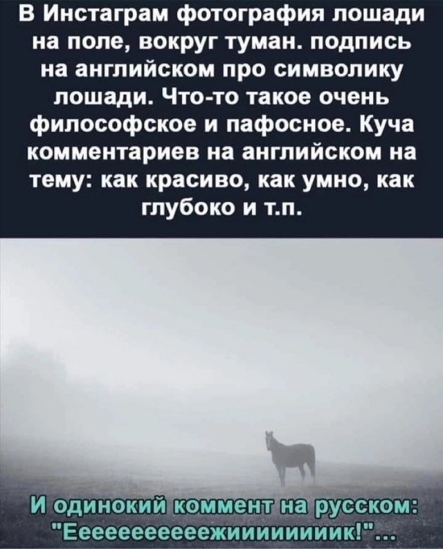 Так себе картинки 04.12.23