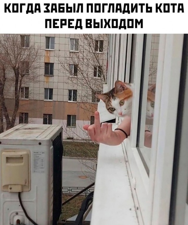 Весёлый полтишок 04.03.24