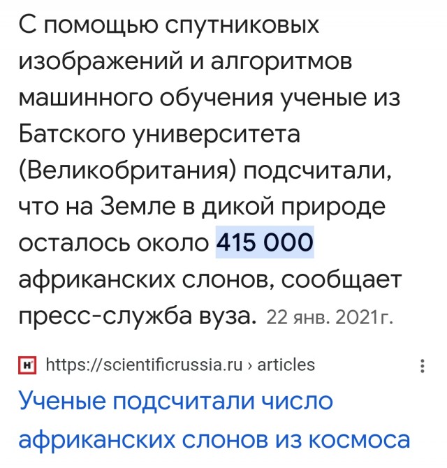 Президент Ботсваны угрожает подарить Германии 20 000 слонов — это реакция на возможный запрет ввоза охотничьих трофеев из Африки