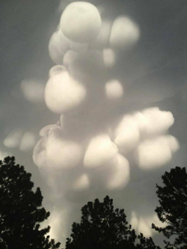 ФотоВинегрет