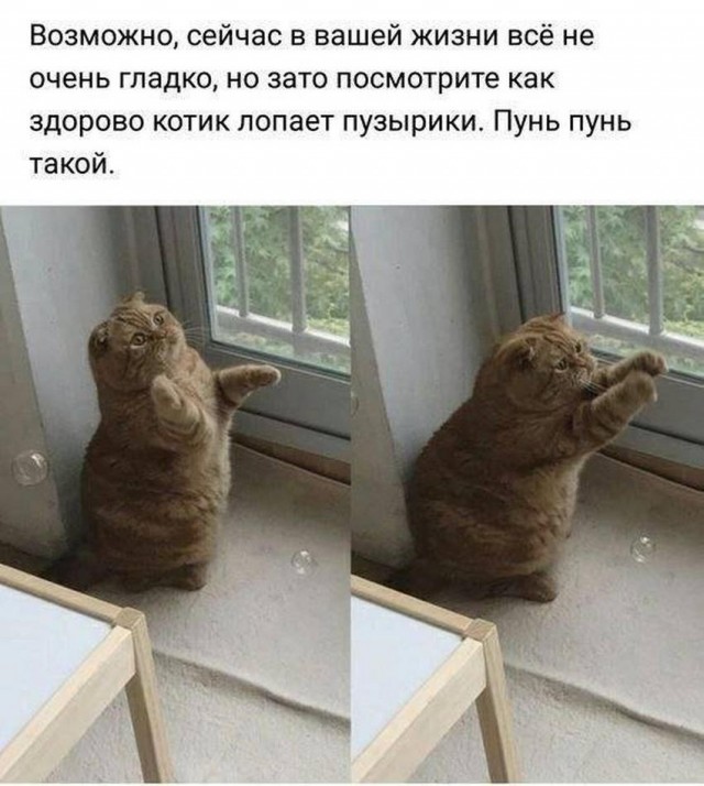 Всего понемногу. От 23.08