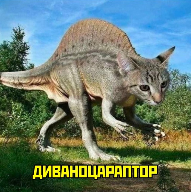 Весёлый полтишок 22.11.24