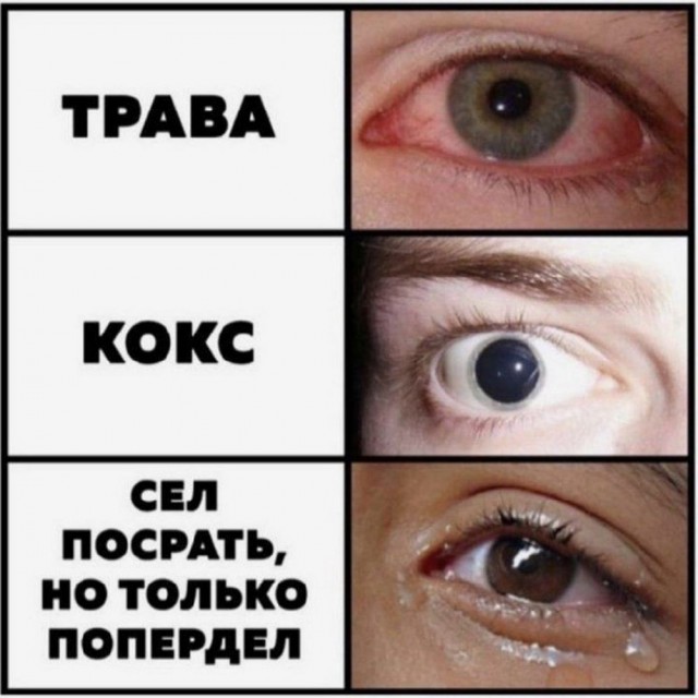 Подборка веселых картинок