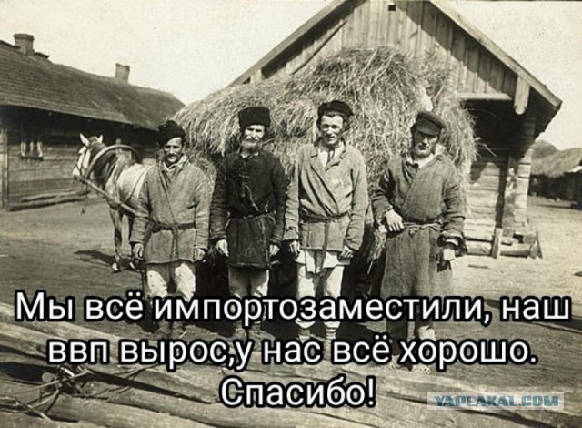 Мишустин: экономика успешно справилась с санкциями, ВВП страны за 2024 г. вырос на 4,1%, доходы населения увеличились на 8,4%