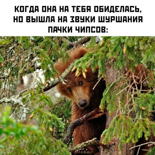 Веселые картинки в понедельник (17.02)