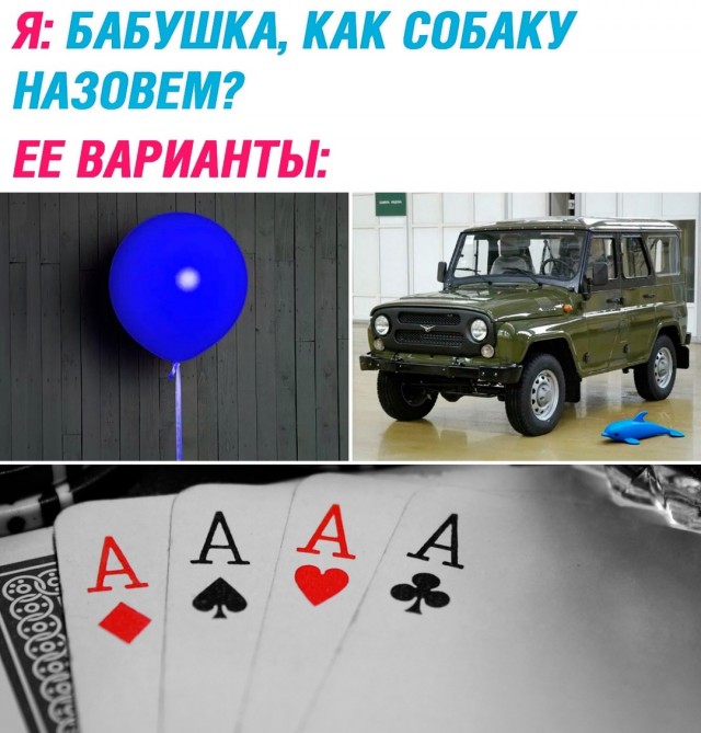 Весёлый полтишок 06.03.2025