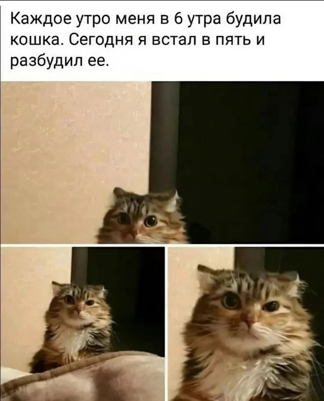 Завалялось тут случайно немного забавных картинок