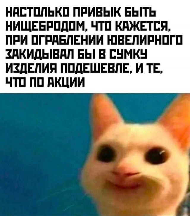 Весёлый полтишок 16.04 25.