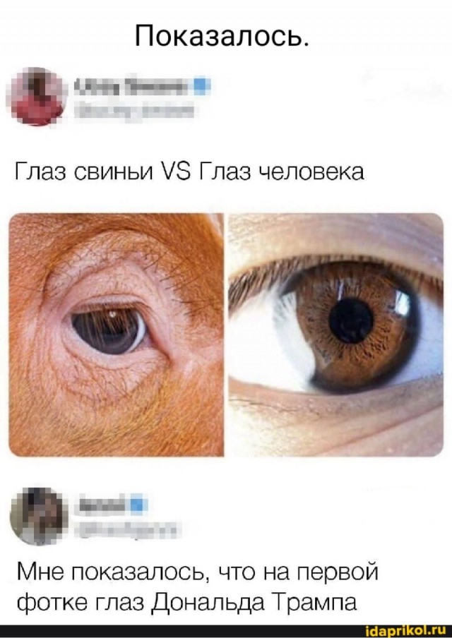Трамп угрожает поддержать новые антироссийские санкции если в сегодняшнем разговоре с Путиным «Россия не пойдет на уступки»