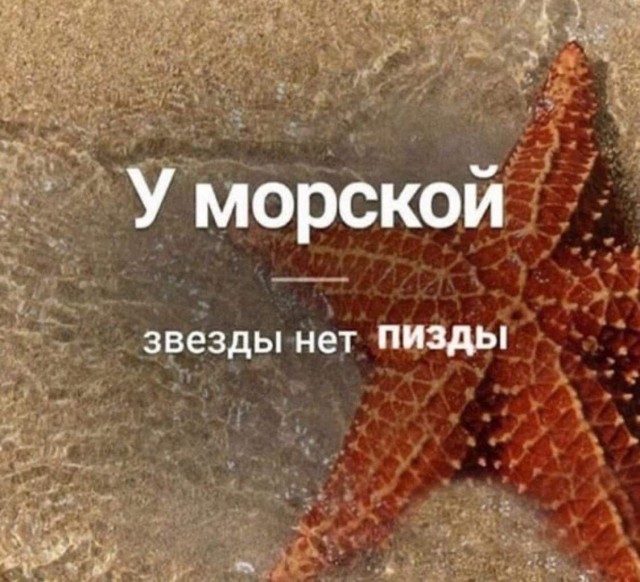 Отсутствие морально этических норм Vol.29