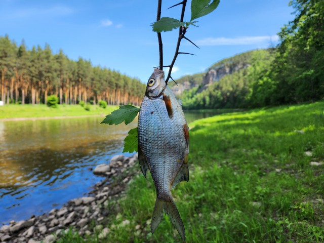 Сплав по реке Ай в середине недели
