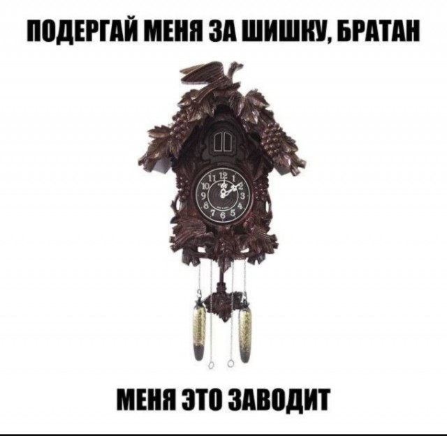 Смешные картинки с надписями и планы на лето 2025