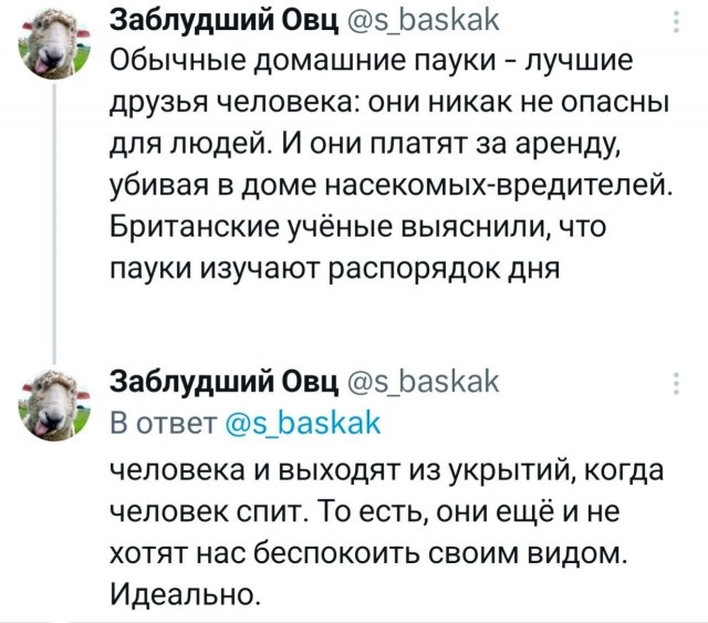 Так себе картинки 28.07.25