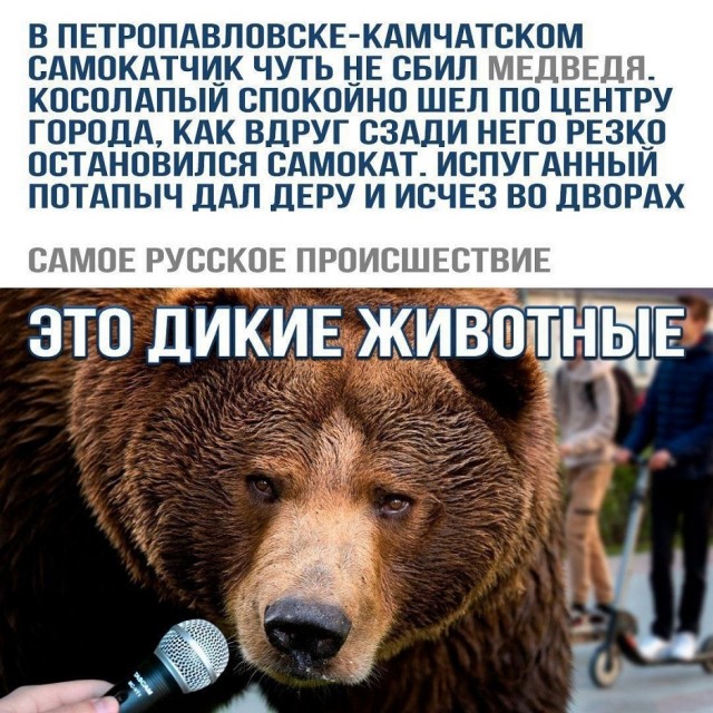 Так себе картинки 10.08.25