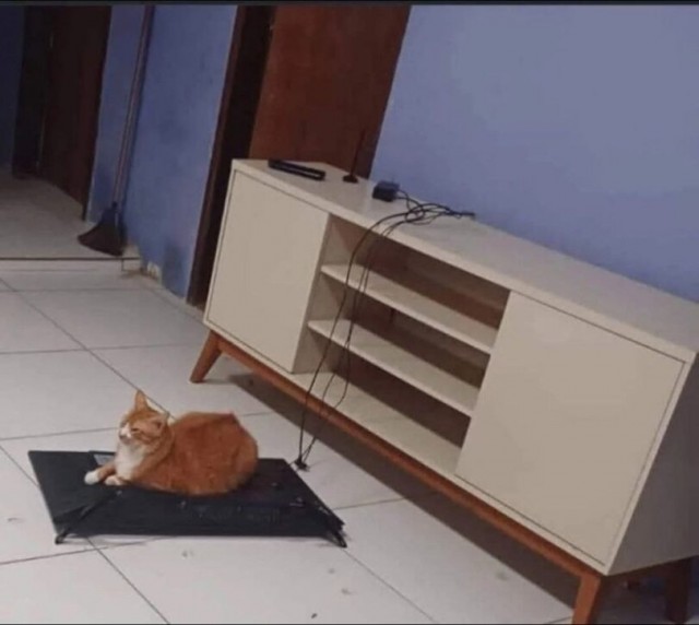 Шерстяные пидо.... братья наши меньшие