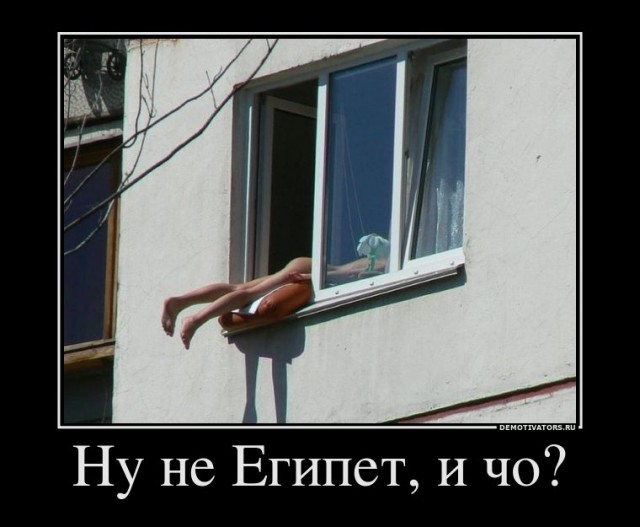 Склад баянов
