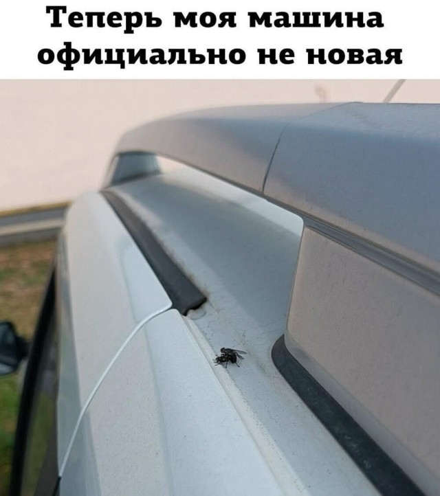 Картиночки, баянчики 02 марта