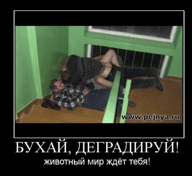 Однажды во дворе