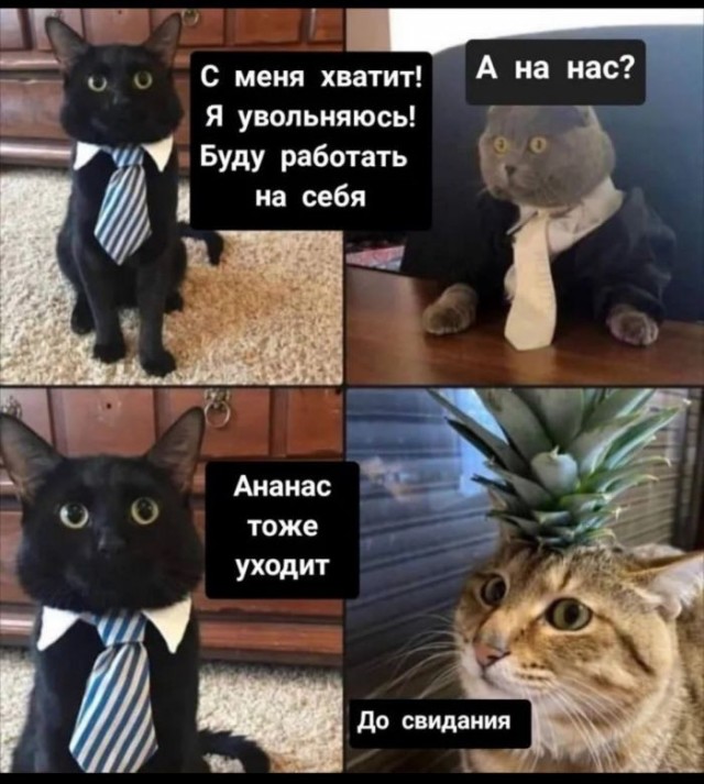 Картинки для деградации 172 (разной степени свежести)