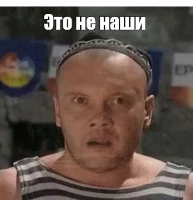 В Финском заливе сняли «танец лебедей»