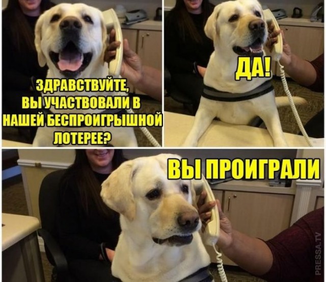 Веселые картинки в понедельник (20.04)