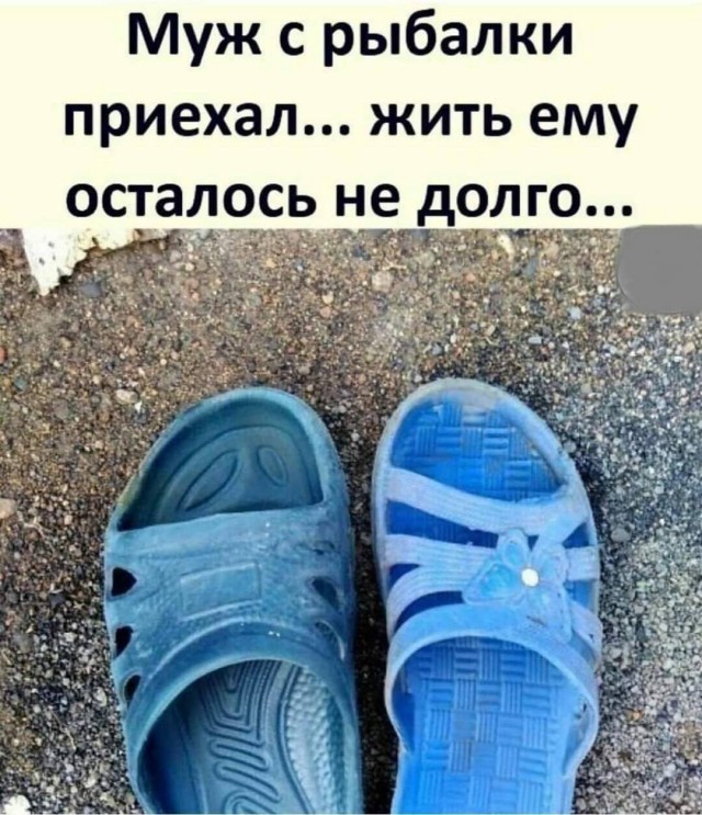 Картиночки, баянчики 24 апреля