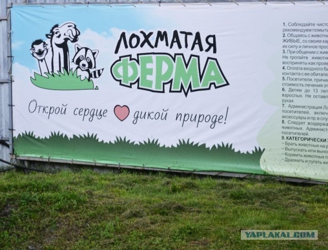 Автопутешествие  "Оренбург - Горный Алтай"