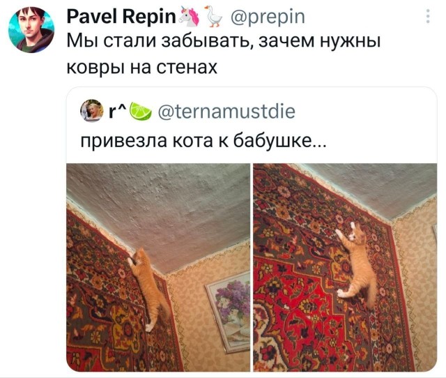 Картинки для деградации 236 (разной степени свежести)