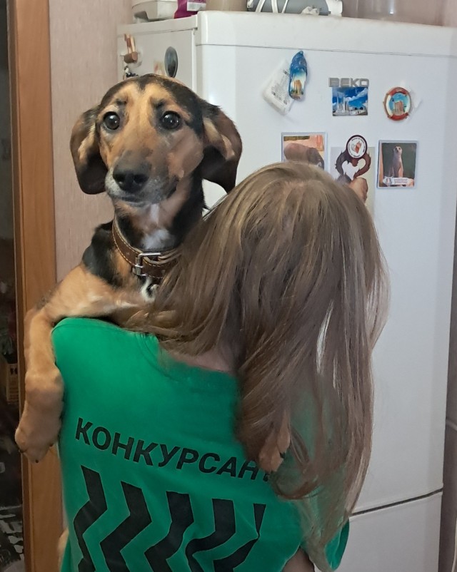 Никки