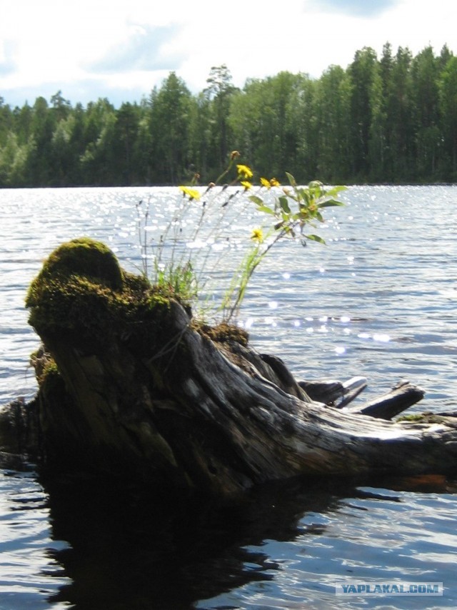 Отпуск в Карелии 2013