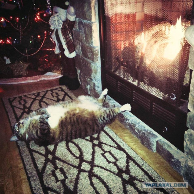 А ведь только половина праздников прошло