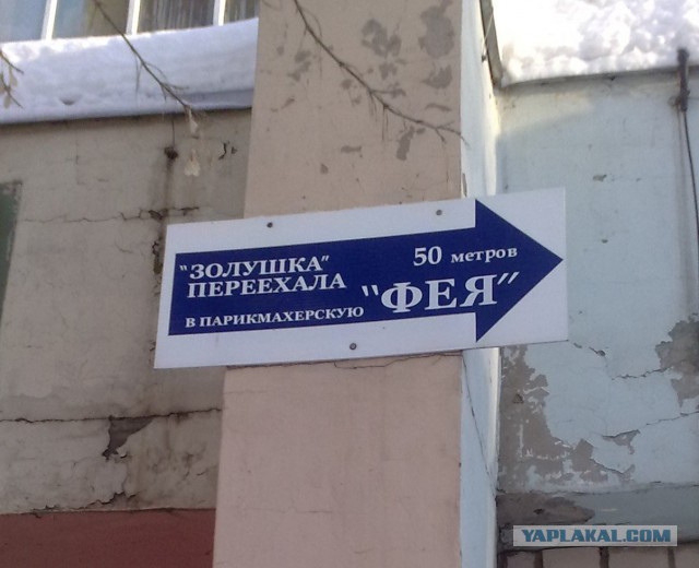 Маразмы месяца