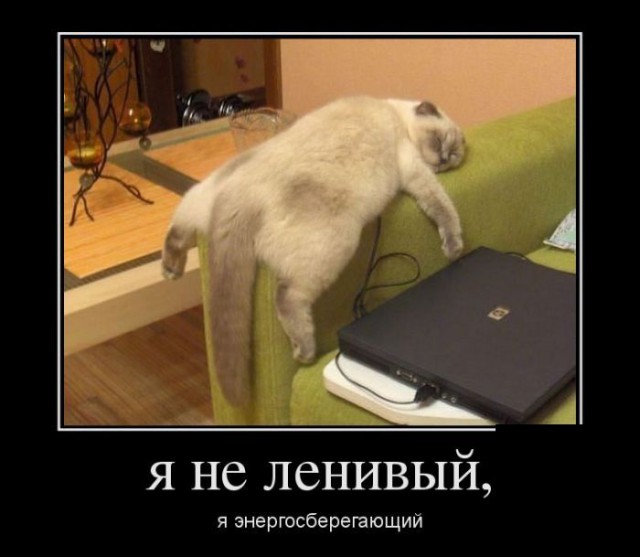 Подборка прикольных фото.