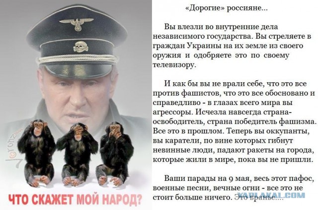 Свежая псяка